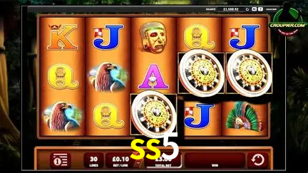 Descubra o Mundo do Cassino Online com ss5